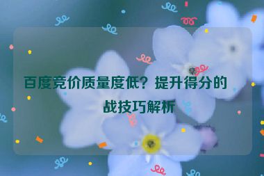 百度競(jìng)價(jià)質(zhì)量度低？提升得分的實(shí)戰(zhàn)技巧解析