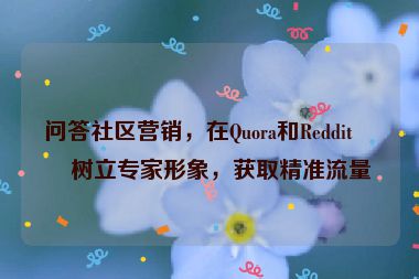 問答社區(qū)營(yíng)銷，在Quora和Reddit上樹立專家形象，獲取精準(zhǔn)流量