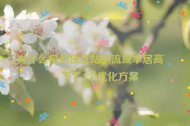 為什么你的獨立站物流成本居高不下？5個優(yōu)化方案