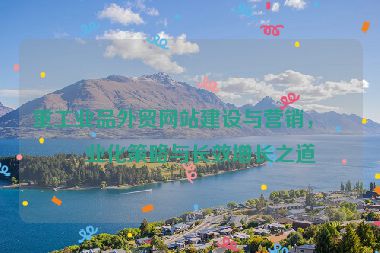 重工業(yè)品外貿(mào)網(wǎng)站建設(shè)與營(yíng)銷，專業(yè)化策略與長(zhǎng)效增長(zhǎng)之道