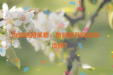 內(nèi)部鏈接策略，如何提升網(wǎng)站權(quán)重傳遞？