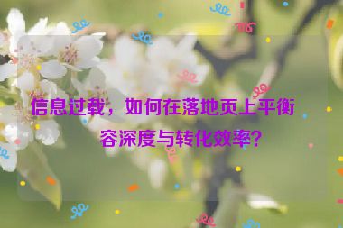 信息過載，如何在落地頁上平衡內(nèi)容深度與轉(zhuǎn)化效率？