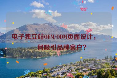 電子獨(dú)立站OEM/ODM頁(yè)面設(shè)計(jì)，如何吸引品牌客戶？