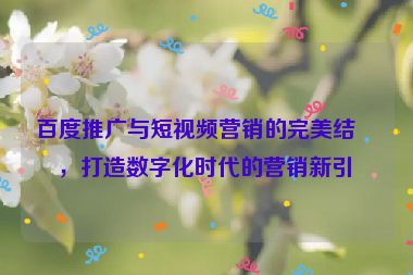 百度推廣與短視頻營(yíng)銷(xiāo)的完美結(jié)合，打造數(shù)字化時(shí)代的營(yíng)銷(xiāo)新引擎