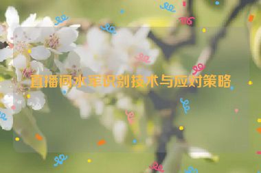 直播間水軍識別技術(shù)與應(yīng)對策略