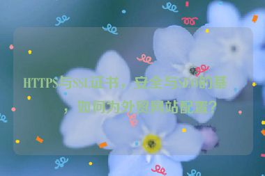 HTTPS與SSL證書，安全與SEO的基礎，如何為外貿(mào)網(wǎng)站配置？