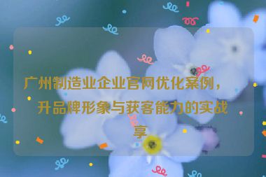 廣州制造業(yè)企業(yè)官網(wǎng)優(yōu)化案例，提升品牌形象與獲客能力的實(shí)戰(zhàn)分享