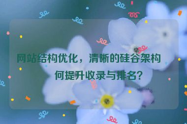 網(wǎng)站結(jié)構(gòu)優(yōu)化，清晰的硅谷架構(gòu)如何提升收錄與排名？