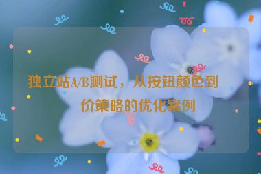 獨(dú)立站A/B測(cè)試，從按鈕顏色到定價(jià)策略的優(yōu)化案例