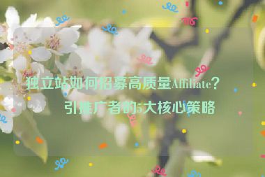 獨(dú)立站如何招募高質(zhì)量Affiliate？吸引推廣者的5大核心策略