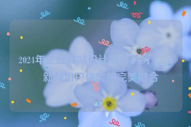 2024年企業(yè)網(wǎng)站設(shè)計流行趨勢，創(chuàng)新與用戶體驗的完美融合