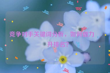 競爭對手關(guān)鍵詞分析，如何借力提升排名？