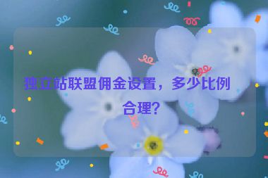 獨(dú)立站聯(lián)盟傭金設(shè)置，多少比例最合理？