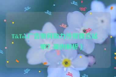 TikTok廣告如何助力外貿(mào)獨(dú)立站爆單？案例解析）