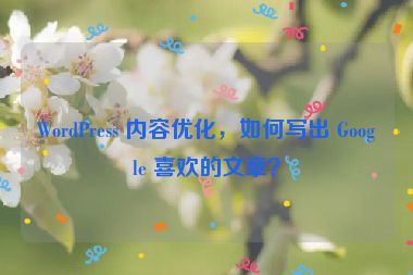 WordPress 內容優(yōu)化，如何寫出 Google 喜歡的文章？
