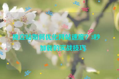 獨(dú)立站如何優(yōu)化網(wǎng)站速度？3秒內(nèi)加載的實(shí)戰(zhàn)技巧