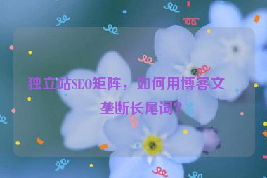 獨(dú)立站SEO矩陣，如何用博客文章壟斷長(zhǎng)尾詞？