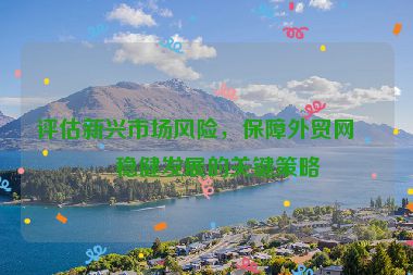 評(píng)估新興市場(chǎng)風(fēng)險(xiǎn)，保障外貿(mào)網(wǎng)站穩(wěn)健發(fā)展的關(guān)鍵策略