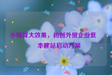 小預(yù)算大效果，初創(chuàng)外貿(mào)企業(yè)低成本建站啟動方案