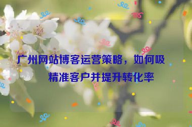 廣州網(wǎng)站博客運(yùn)營策略，如何吸引精準(zhǔn)客戶并提升轉(zhuǎn)化率