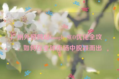廣州外貿(mào)網(wǎng)站Google SEO優(yōu)化全攻略，如何在全球市場(chǎng)中脫穎而出？