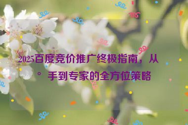 2025百度競(jìng)價(jià)推廣終極指南，從新手到專家的全方位策略