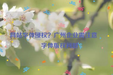 網(wǎng)站字體侵權(quán)？廣州企業(yè)需注意的字體版權(quán)問(wèn)題