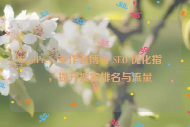 WordPress 多作者博客 SEO 優(yōu)化指南，提升搜索排名與流量