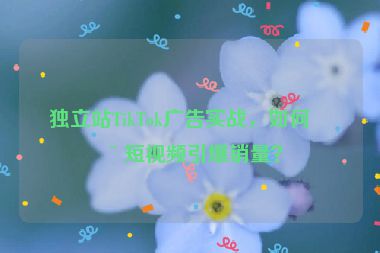 獨(dú)立站TikTok廣告實(shí)戰(zhàn)，如何用短視頻引爆銷量？