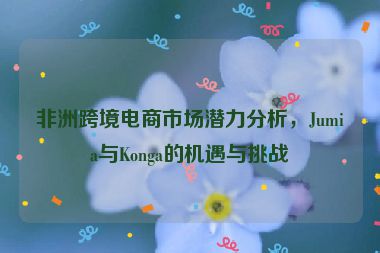 非洲跨境電商市場(chǎng)潛力分析，Jumia與Konga的機(jī)遇與挑戰(zhàn)