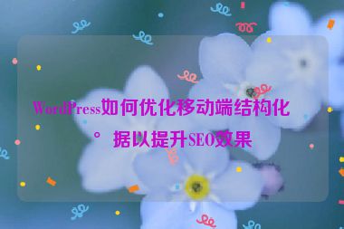 WordPress如何優(yōu)化移動(dòng)端結(jié)構(gòu)化數(shù)據(jù)以提升SEO效果