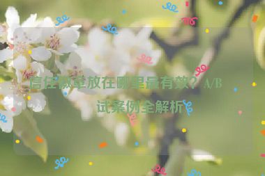 信任徽章放在哪里最有效？A/B測試案例全解析