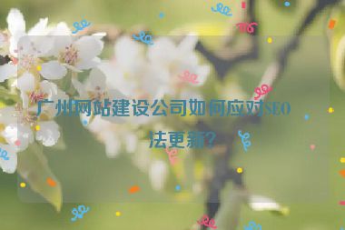 廣州網(wǎng)站建設公司如何應對SEO算法更新？