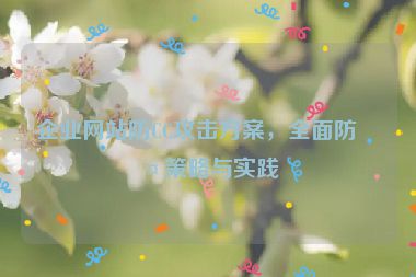 企業(yè)網(wǎng)站防CC攻擊方案，全面防護(hù)策略與實踐