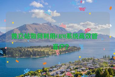 獨立站如何利用CRM系統(tǒng)高效管理客戶？