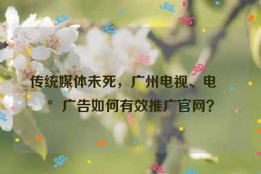 傳統(tǒng)媒體未死，廣州電視、電臺廣告如何有效推廣官網(wǎng)？