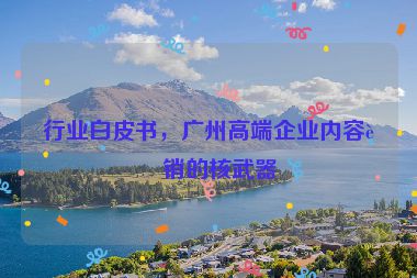 行業(yè)白皮書，廣州高端企業(yè)內(nèi)容營銷的核武器