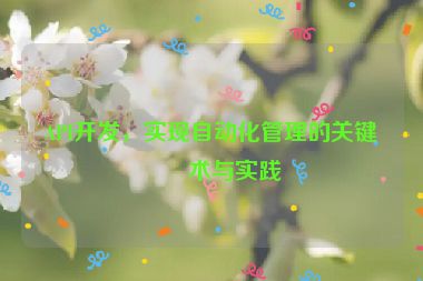 API開發(fā)，實(shí)現(xiàn)自動(dòng)化管理的關(guān)鍵技術(shù)與實(shí)踐