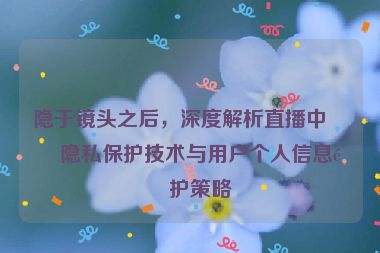 隱于鏡頭之后，深度解析直播中的隱私保護(hù)技術(shù)與用戶個(gè)人信息防護(hù)策略