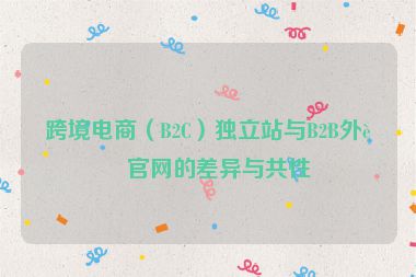 跨境電商（B2C）獨(dú)立站與B2B外貿(mào)官網(wǎng)的差異與共性