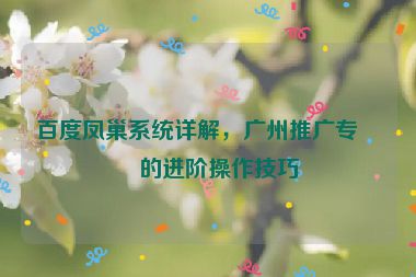 百度鳳巢系統(tǒng)詳解，廣州推廣專員的進(jìn)階操作技巧