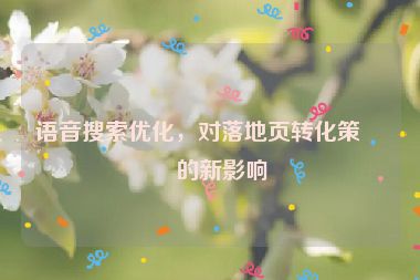 語音搜索優(yōu)化，對落地頁轉(zhuǎn)化策略的新影響