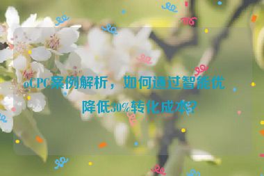 oCPC案例解析，如何通過智能優(yōu)化降低30%轉化成本？
