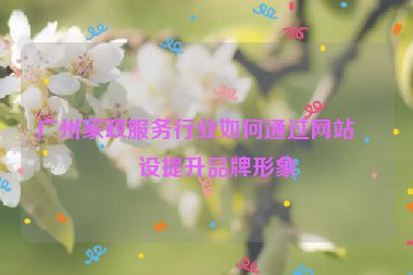廣州家政服務(wù)行業(yè)如何通過網(wǎng)站建設(shè)提升品牌形象