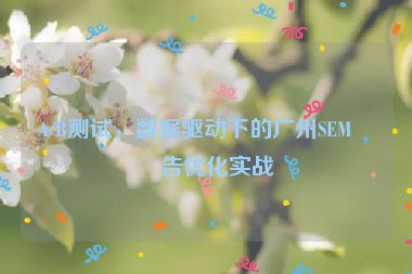 A/B測(cè)試，數(shù)據(jù)驅(qū)動(dòng)下的廣州SEM廣告優(yōu)化實(shí)戰(zhàn)