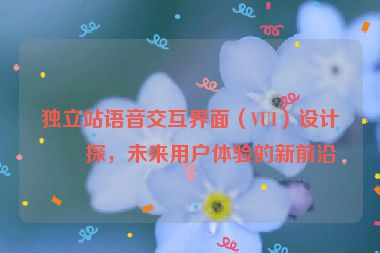 獨立站語音交互界面（VUI）設計初探，未來用戶體驗的新前沿