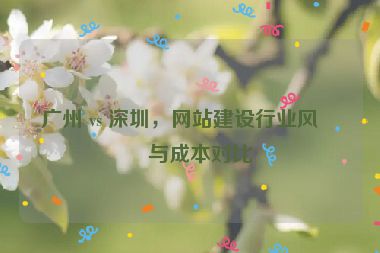 廣州 vs 深圳，網(wǎng)站建設(shè)行業(yè)風(fēng)格與成本對(duì)比