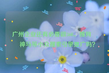 廣州企業(yè)還有必要做360、搜狗、神馬等小眾搜索引擎推廣嗎？