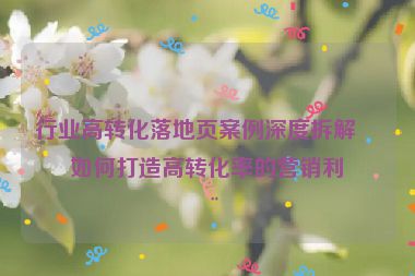 行業(yè)高轉(zhuǎn)化落地頁案例深度拆解，如何打造高轉(zhuǎn)化率的營銷利器
