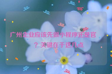 廣州企業(yè)應(yīng)該先做小程序還是官網(wǎng)？關(guān)鍵在于這幾點